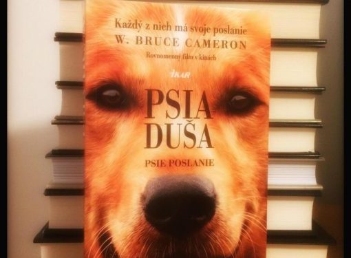 Kniha – Psia duša: psie poslanie + recenzia na film