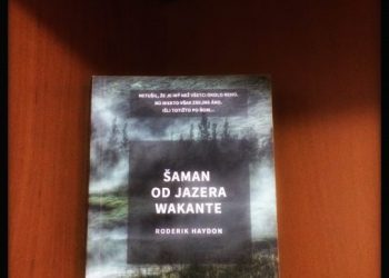 Recenzia – Roderik Haydon – Šaman od jazera Wakante
