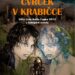 Recenzia – Petra Slováková – Cvrček v krabičce